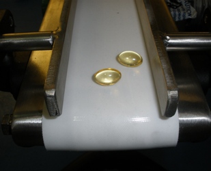 Pharmaceutical Conveyor